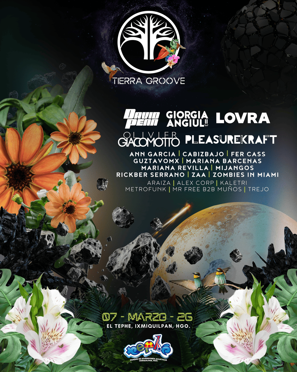 Cartel Oficial Tierra Groove 2026